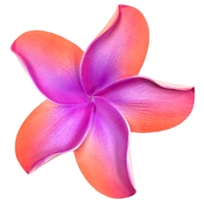 Pua (10 CM)