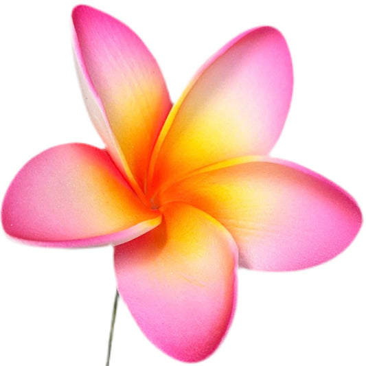 Pua (8 CM)
