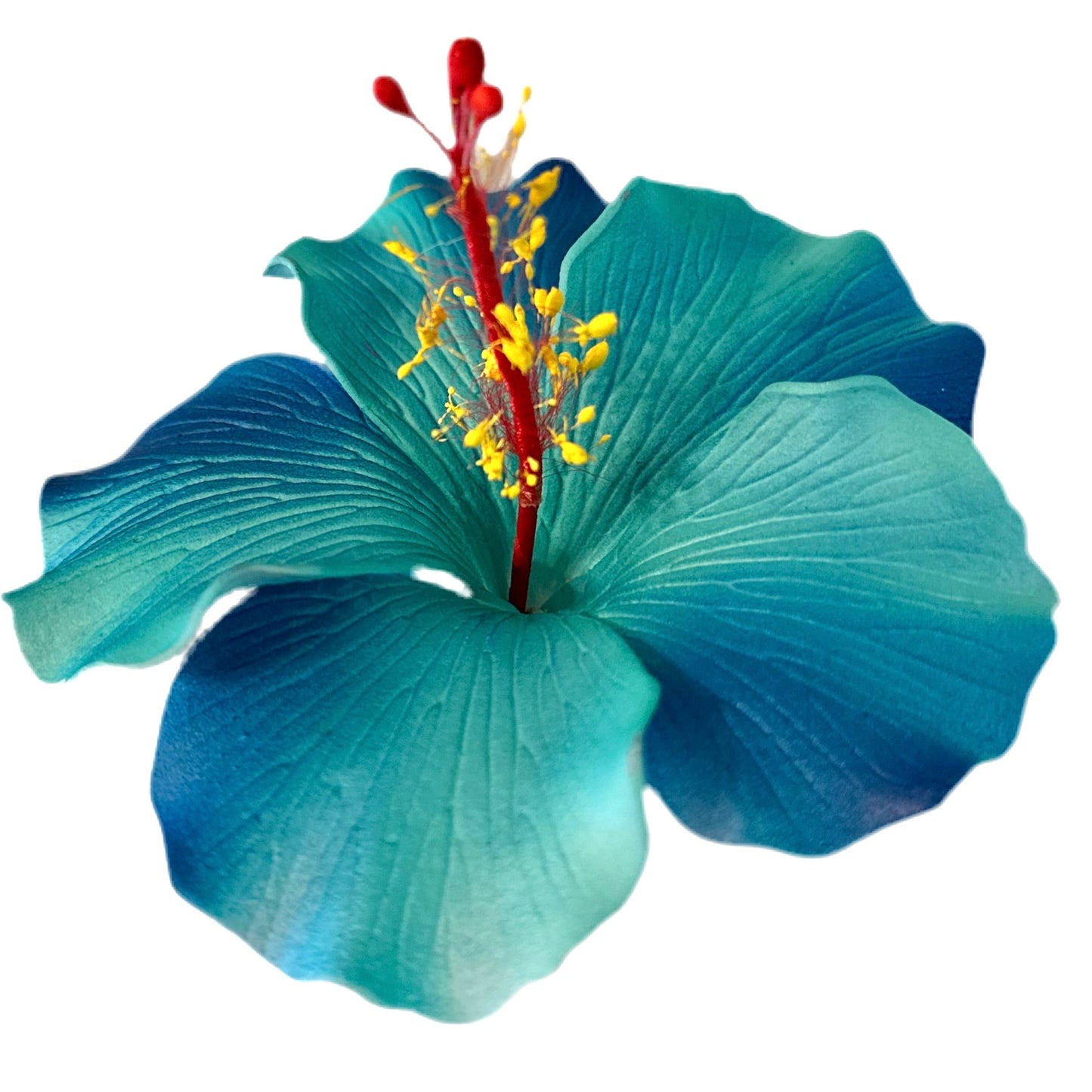 Aute (9 CM)