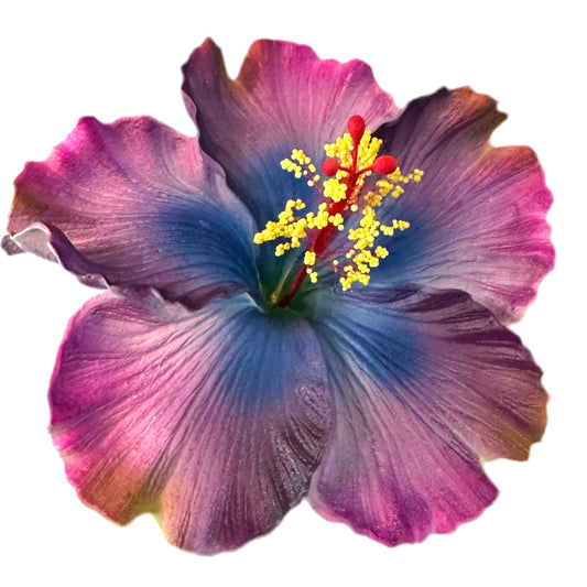 Aute (12 CM)