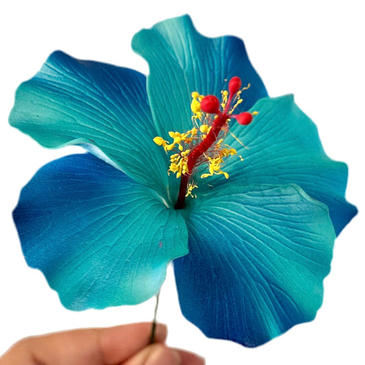 Aute (9 CM)