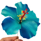 Aute (9 CM)