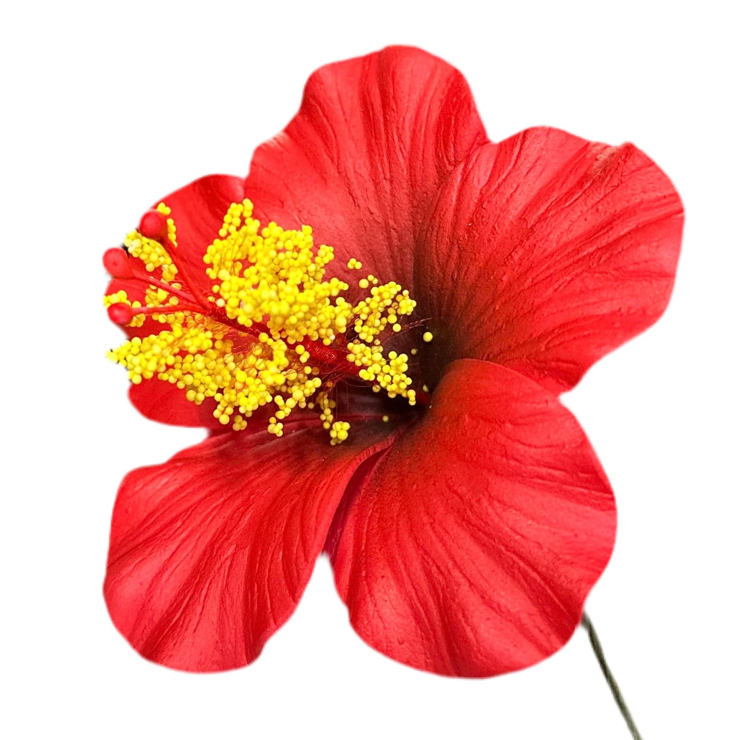 Aute (8.5 CM)