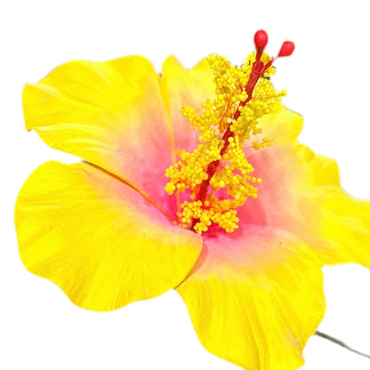 Aute (8.5 CM)