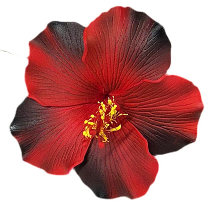 Aute (9 CM)