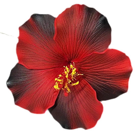 Aute (9 CM)