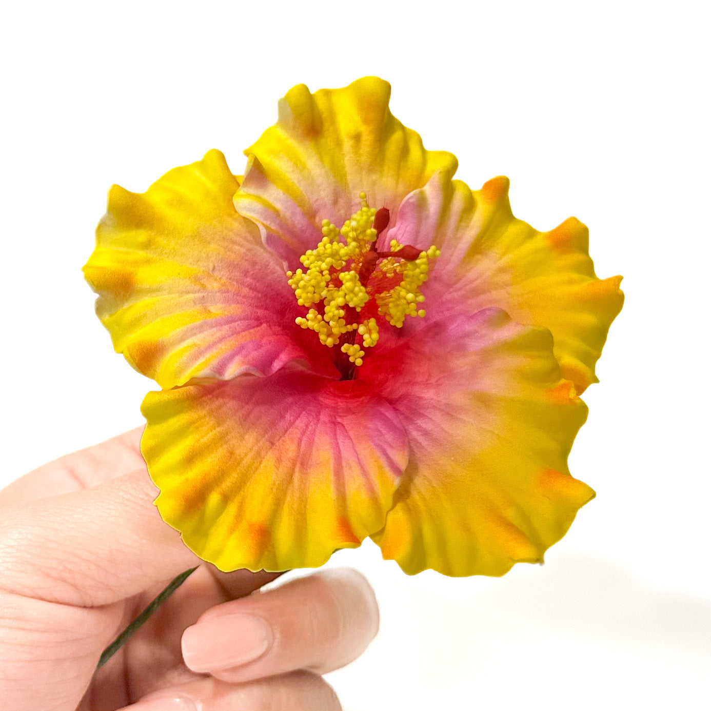 Aute (9 CM)