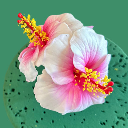 Double Hibiscus
