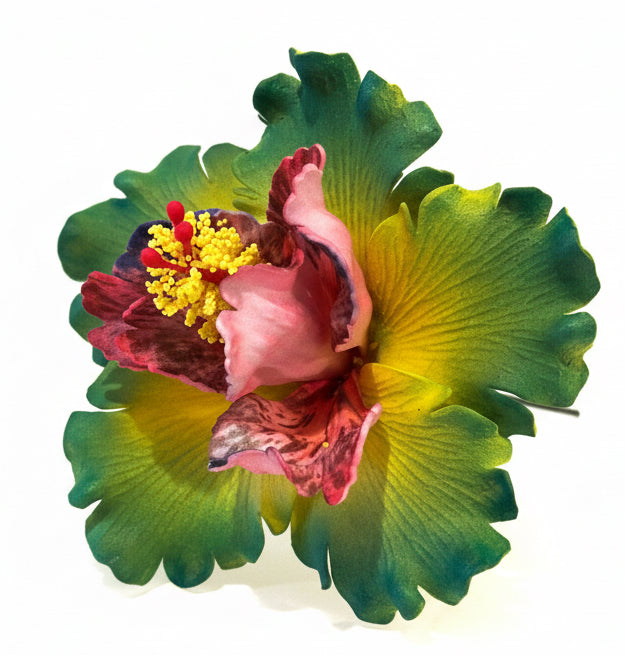 Exotic Hibiscus (11 CM)