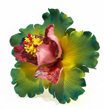 Load image into Gallery viewer, Exotic Hibiscus (11 CM)
