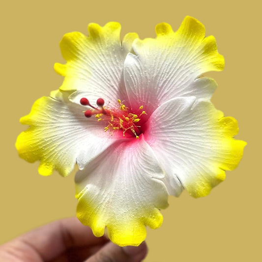 Aute (11.5 CM)
