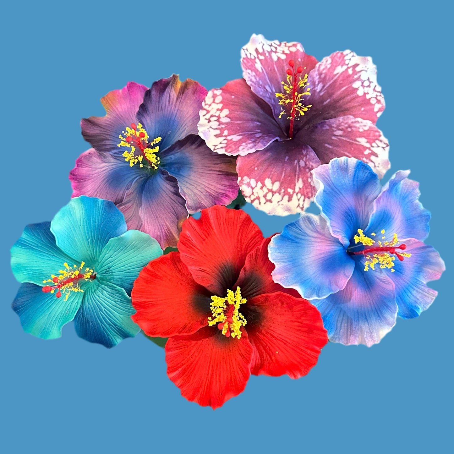 Aute (9 CM)