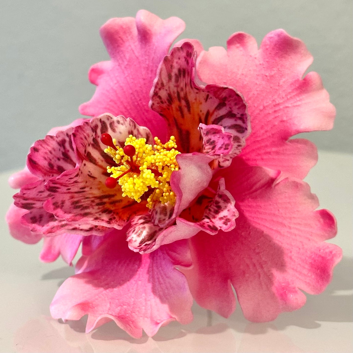 Exotic Hibiscus (11 CM)