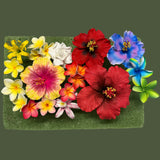 Maui Flower Bundle