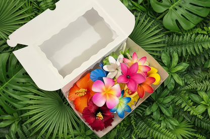 Island Babe Bundle (15 PCS)